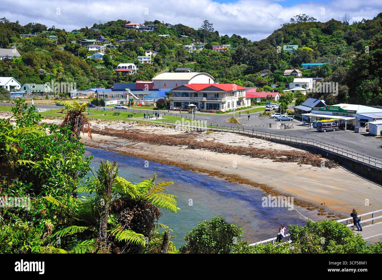 Vista della città e della baia di Halfmoon dal porto, Oban, Stewart Island (Rakiura), Southland Region, nuova Zelanda Foto Stock