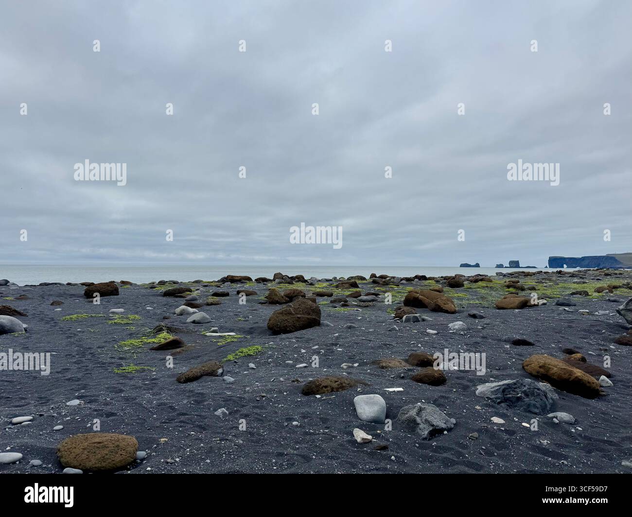 Reynisfjara spiaggia di sabbia nera Foto Stock