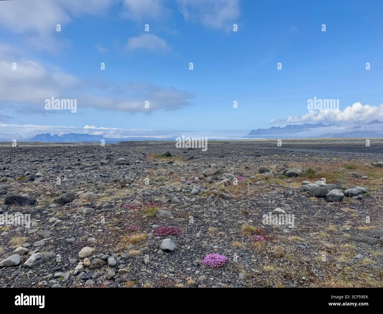 Splendida vista sulla riserva naturale di Skaftafell a Simmer. Foto Stock