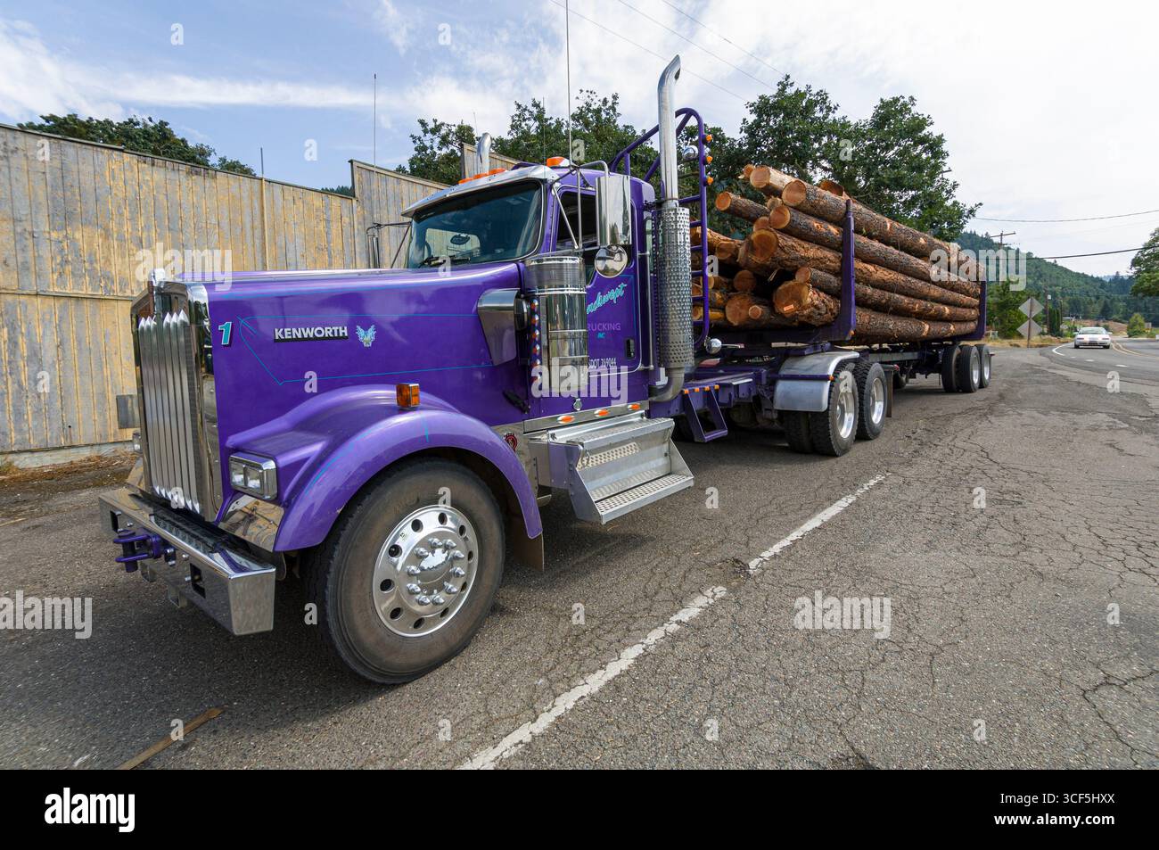 Registrazione di un camion pieno di piccoli logs parcheggiata sul lato della strada, Douglas County, Oregon, Stati Uniti d'America Foto Stock