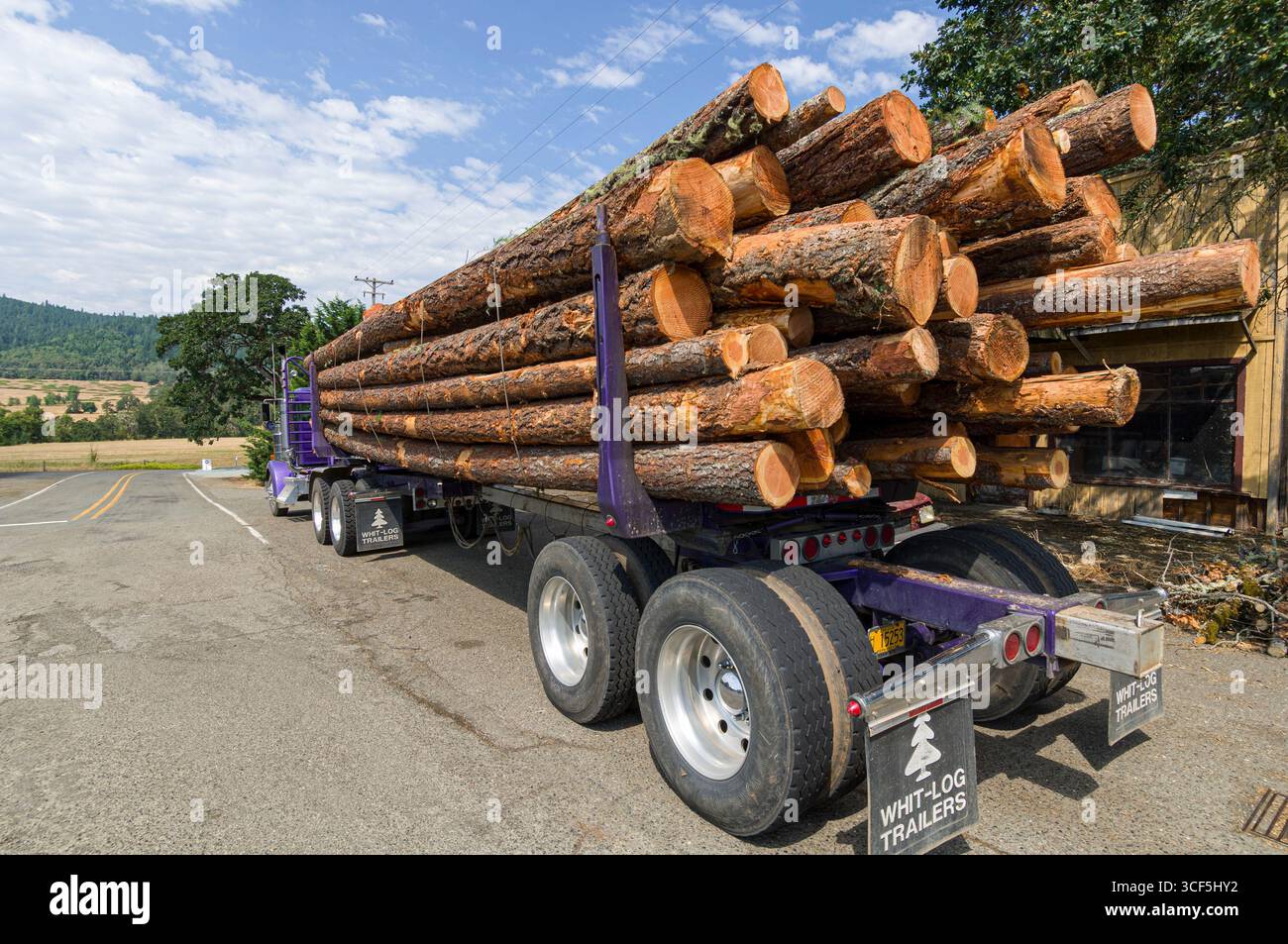 Registrazione di un camion pieno di piccoli logs parcheggiata sul lato della strada, Douglas County, Oregon, Stati Uniti d'America Foto Stock