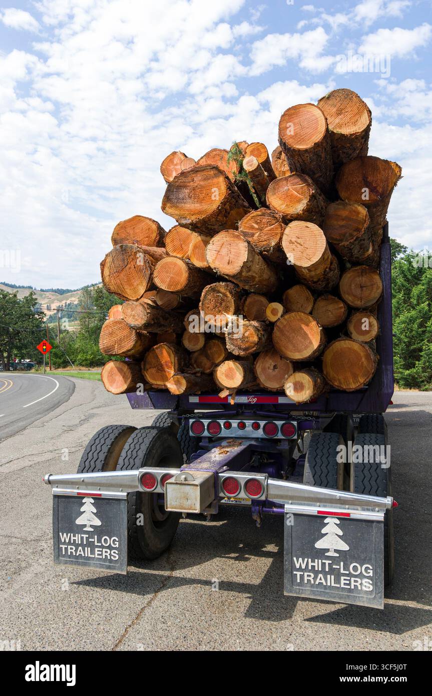 Registrazione di un camion pieno di piccoli logs parcheggiata sul lato della strada, Douglas County, Oregon, Stati Uniti d'America Foto Stock