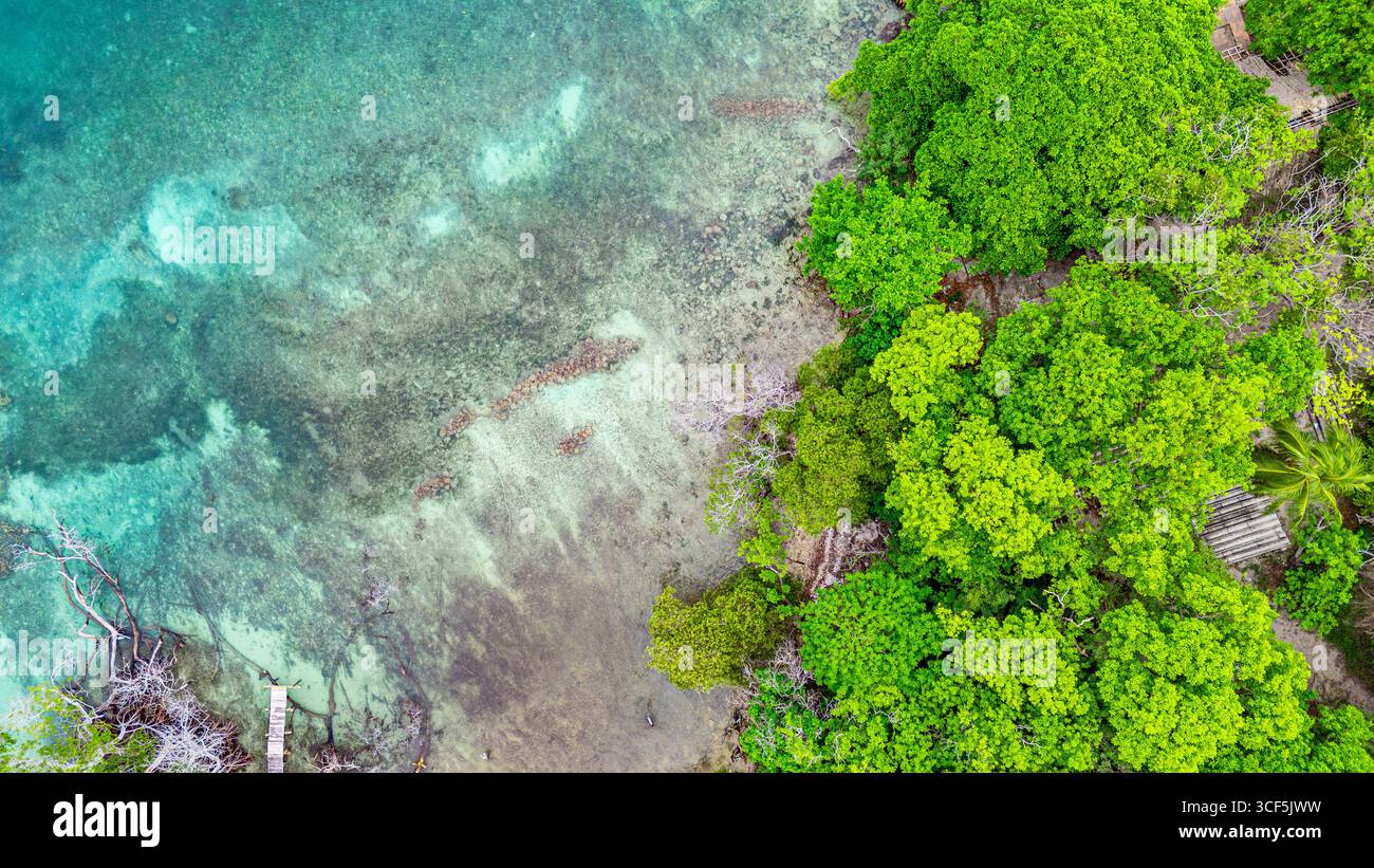 Splendida vista aerea della lussureggiante vegetazione e delle acque cristalline dell'isola di Rosario, Cartagena, Colombia. Foto Stock