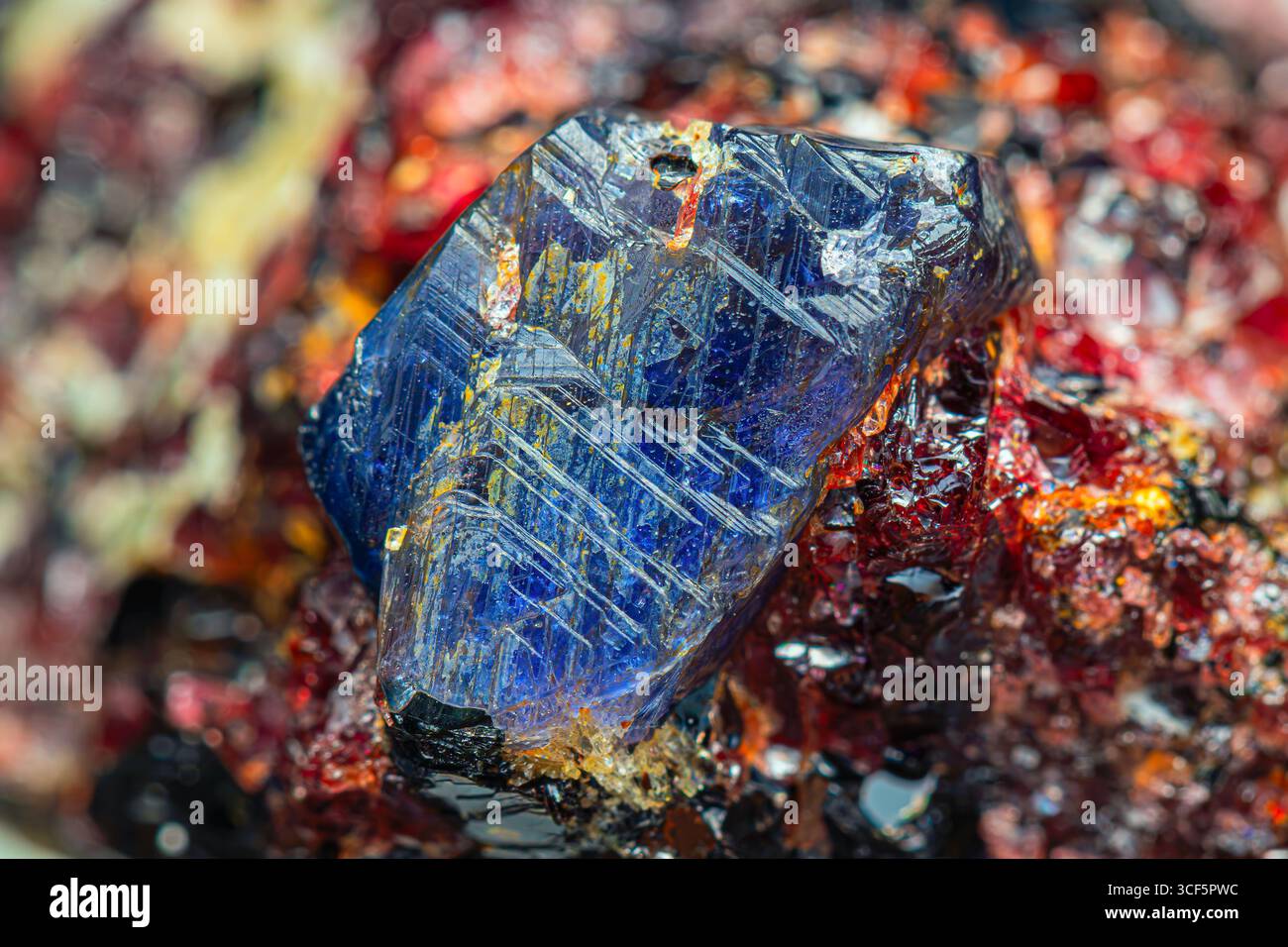 Primo piano zaffiro blu ruvido naturale su rubino – matrice di biotite (minerali della terra – gruppo di pietre preziose del corindone) Foto Stock