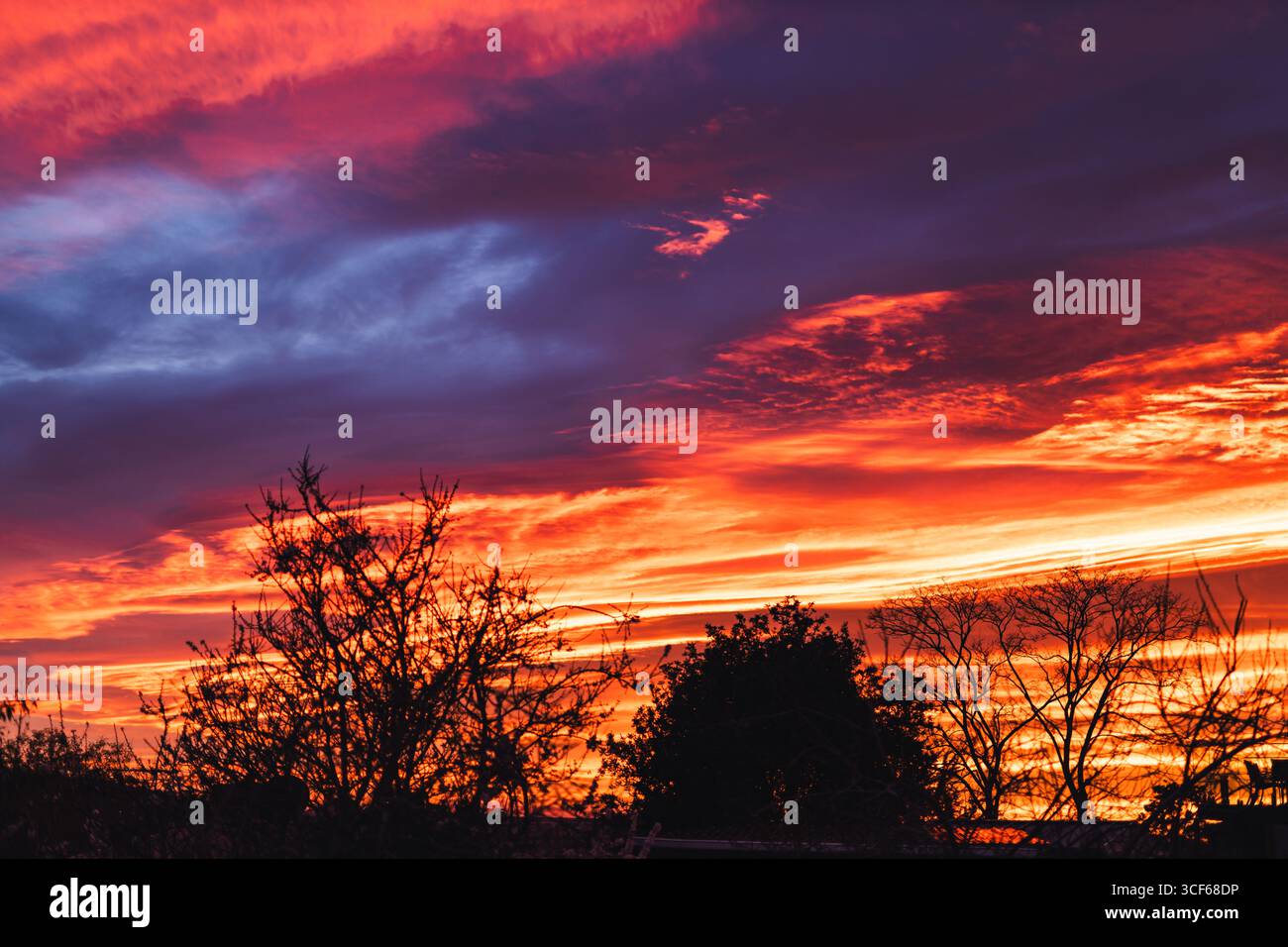 intense nuvole dorate e rosa all'alba si illuminano su un tranquillo cortile di periferia in australia Foto Stock intense nuvole dorate e rosa all'alba si illuminano su un tranquillo cortile di periferia in australia Foto Stock