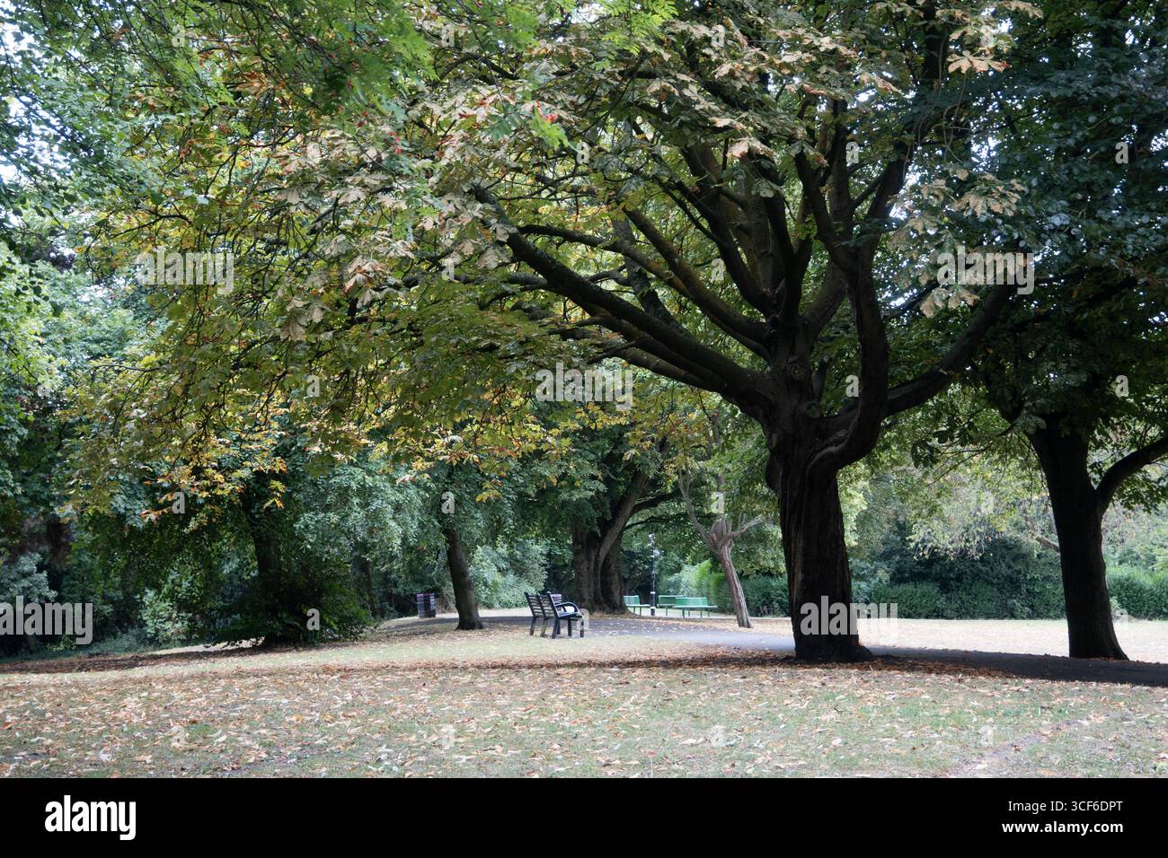 Silver Jubilee Park, Roseville, Coseley, West Midlands, Inghilterra, REGNO UNITO Foto Stock