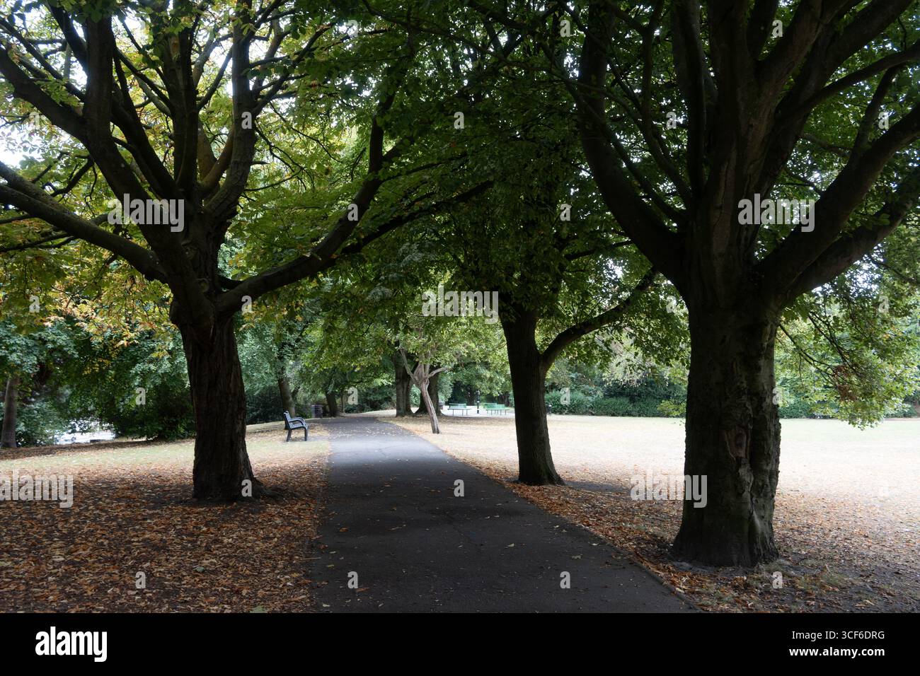 Silver Jubilee Park, Roseville, Coseley, West Midlands, Inghilterra, REGNO UNITO Foto Stock