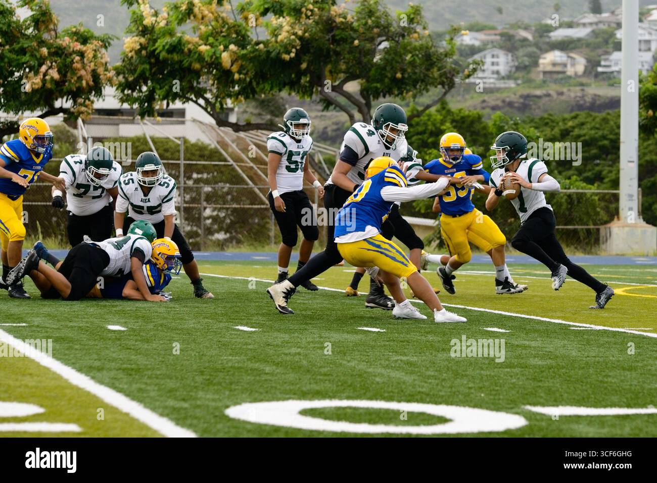 Il quarterback dell'Aiea High School Football superò i difensori della linea delle 30 yard e si diresse verso la end zone nella partita di rivalità contro il Kaiser Foto Stock