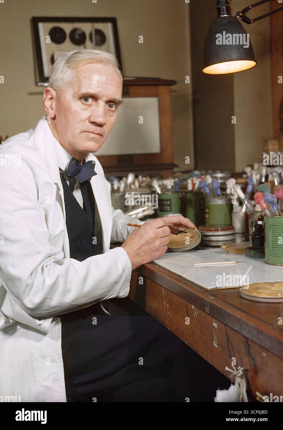 Il professor Alexander Fleming, titolare della cattedra di batteriologia presso l'Università di Londra c 1943 Foto Stock