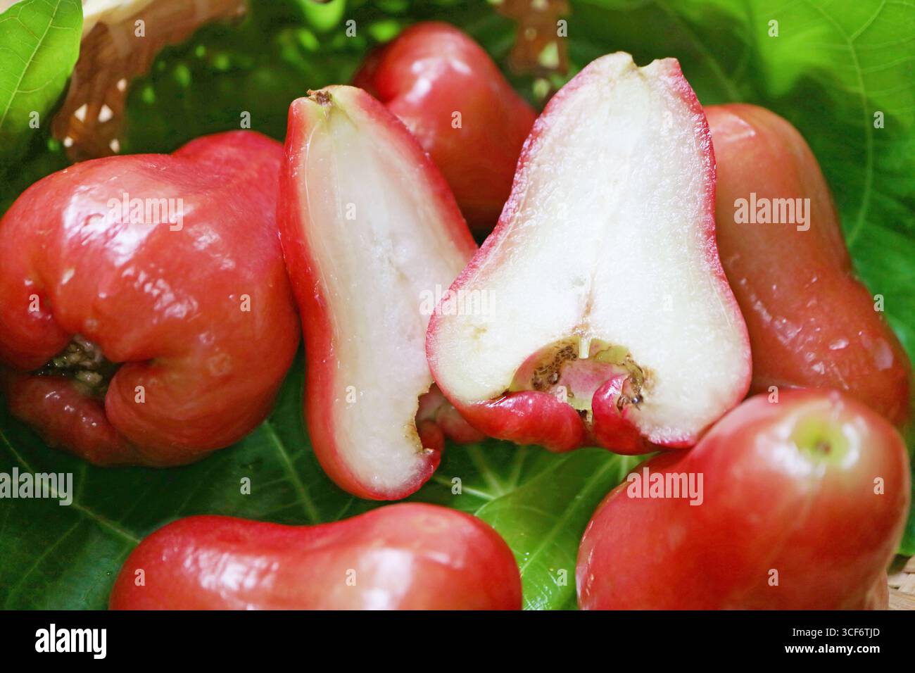 Primo piano di succulenti polpa bianca succosa di acquosa frutta di mele rosa Foto Stock
