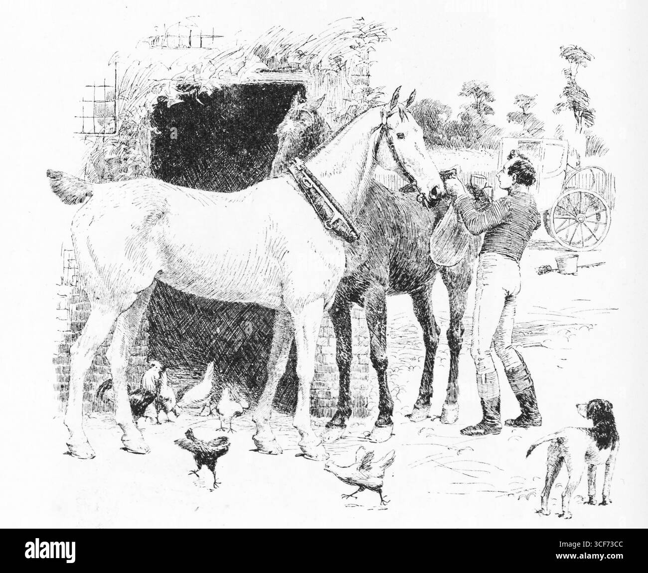 In un cortile rustico, un uomo regola l'imbracatura di un cavallo scuro mentre uno più leggero si trova nelle vicinanze. I polli si arrampicano sul terreno acciottolato e un cane guarda con attenzione. Dietro di loro, una stalla si apre a profondità ombreggiate dove un'altra figura tende a un carrello. La scena, ambientata nell'Inghilterra rurale, cattura il tranquillo trambusto della sellata. Illustrazione pubblicata per la prima volta nel 1888 da Richard Clay e Sons nel libro Coaching Days and Coaching Ways di W. Outram Tristram. Gli illustratori erano Herbert Railton e Hugh Thomson. Foto Stock