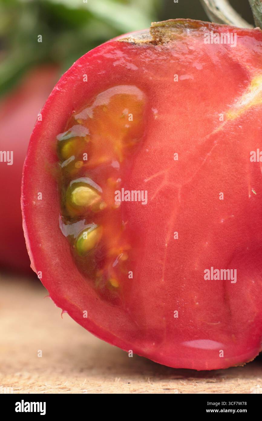Sezione trasversale di un pomodoro rosso con polpa e semi. Solanum lycopersicum. REGNO UNITO Foto Stock