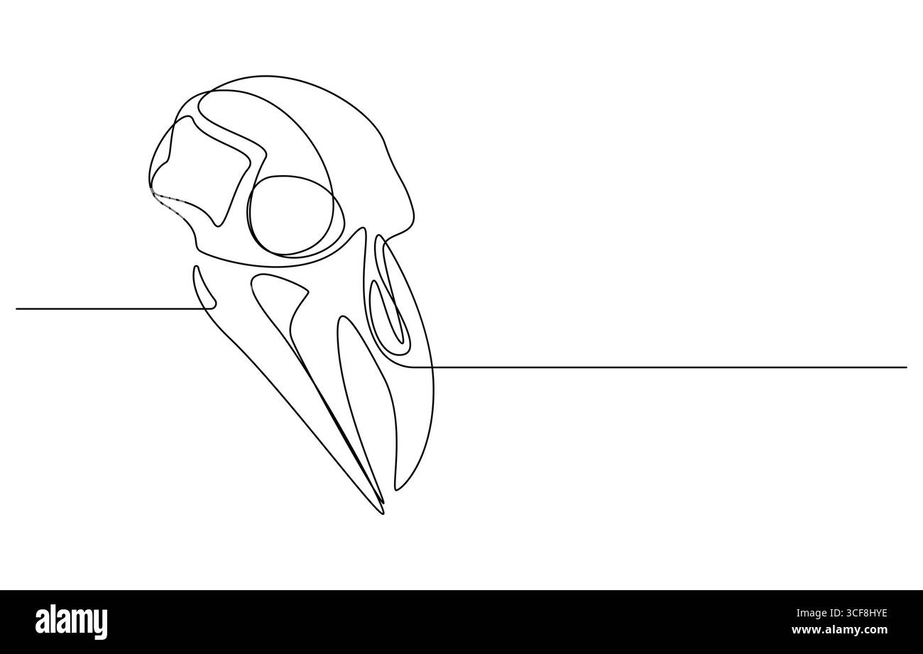 Teschio di mucca a una linea continua. Arte della linea del cranio degli animali, teschio della fauna selvatica a linea singola, arte della linea del cranio dei toro Illustrazione Vettoriale