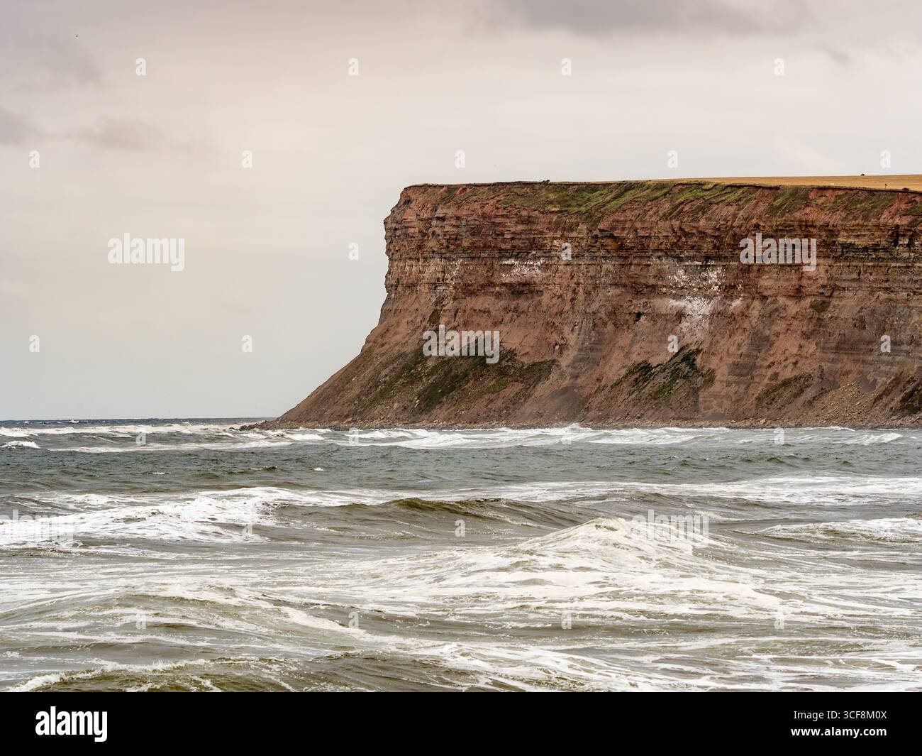 Una vista ravvicinata dell'imponente e stratificata parete rocciosa di Hunt Cliff sulla costa di Saltburn-by-the-Sea nel North Yorkshire, Regno Unito. Foto Stock