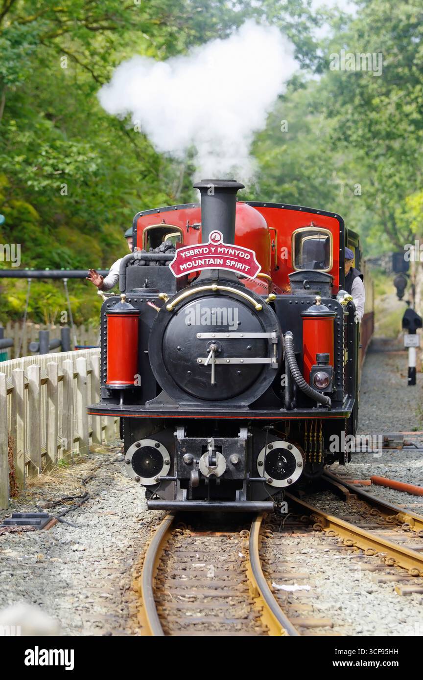 Double Fairlie, Ffestiniog Railway, Tan y Bwlch, stazione, Gwynedd, Galles del Nord, Regno Unito. Foto Stock