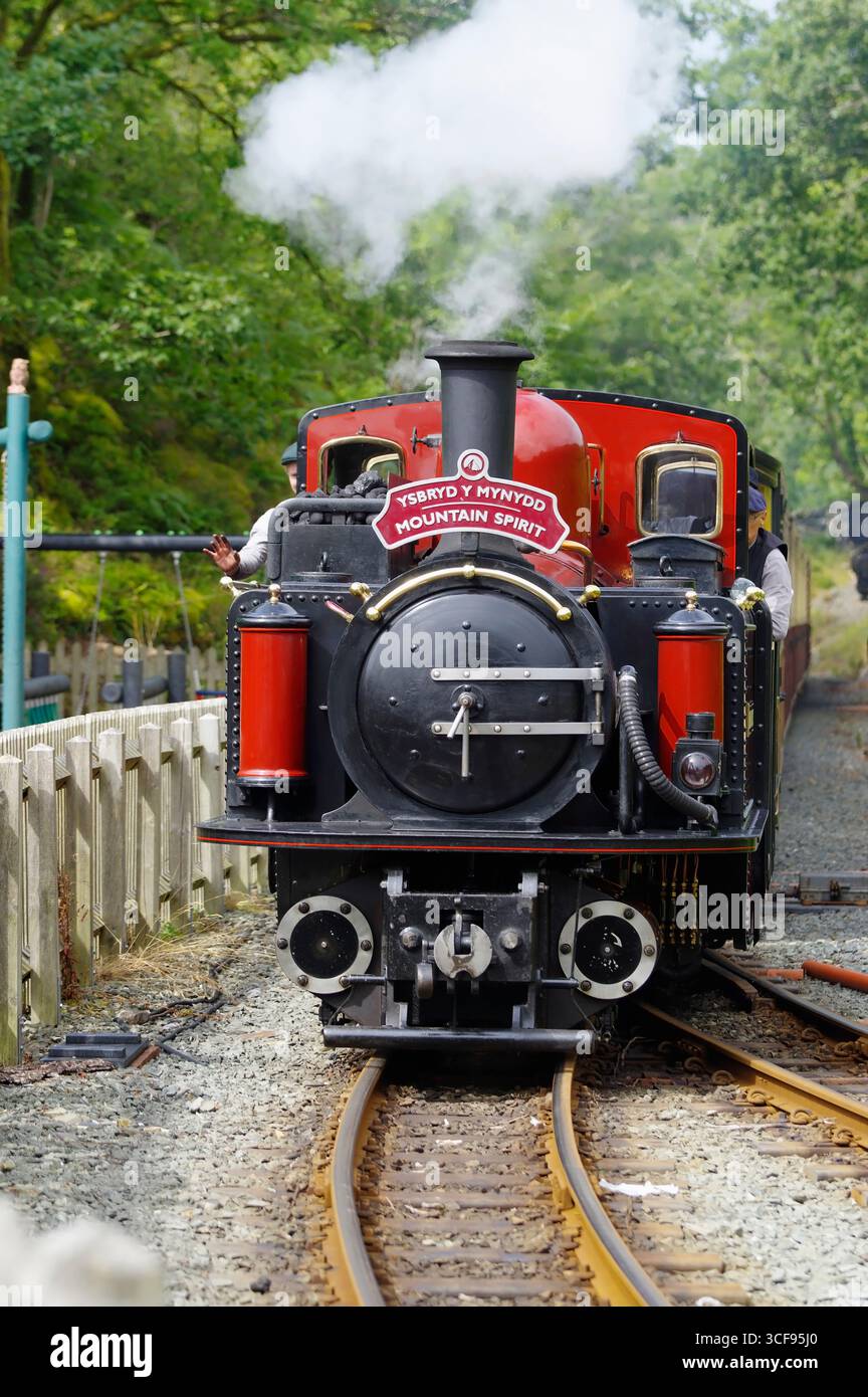 Double Fairlie, Ffestiniog Railway, Tan y Bwlch, stazione, Gwynedd, Galles del Nord, Regno Unito. Foto Stock