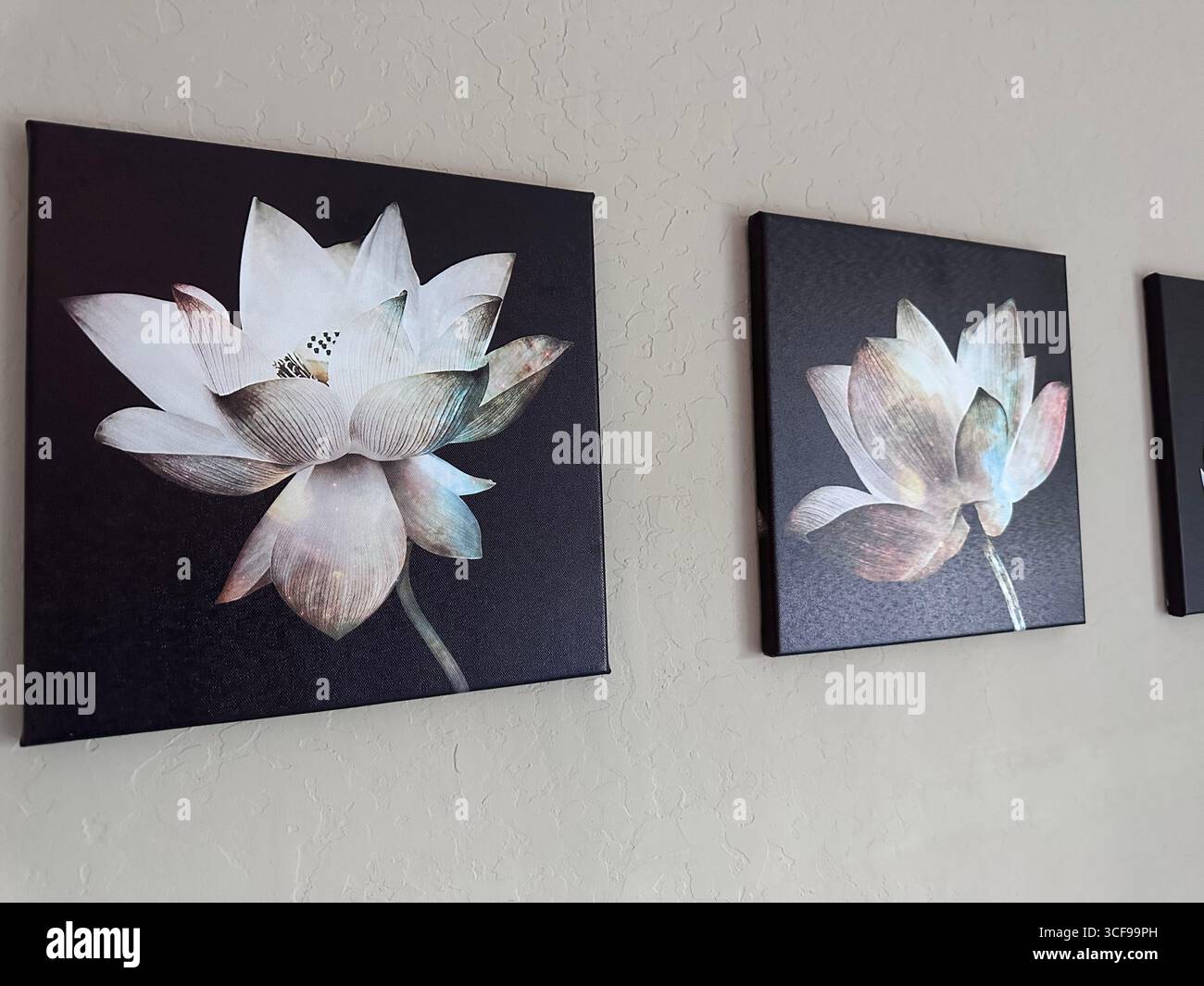 Arte da parete con fiori di loto su tela - Immagine stock catturata con smartphone