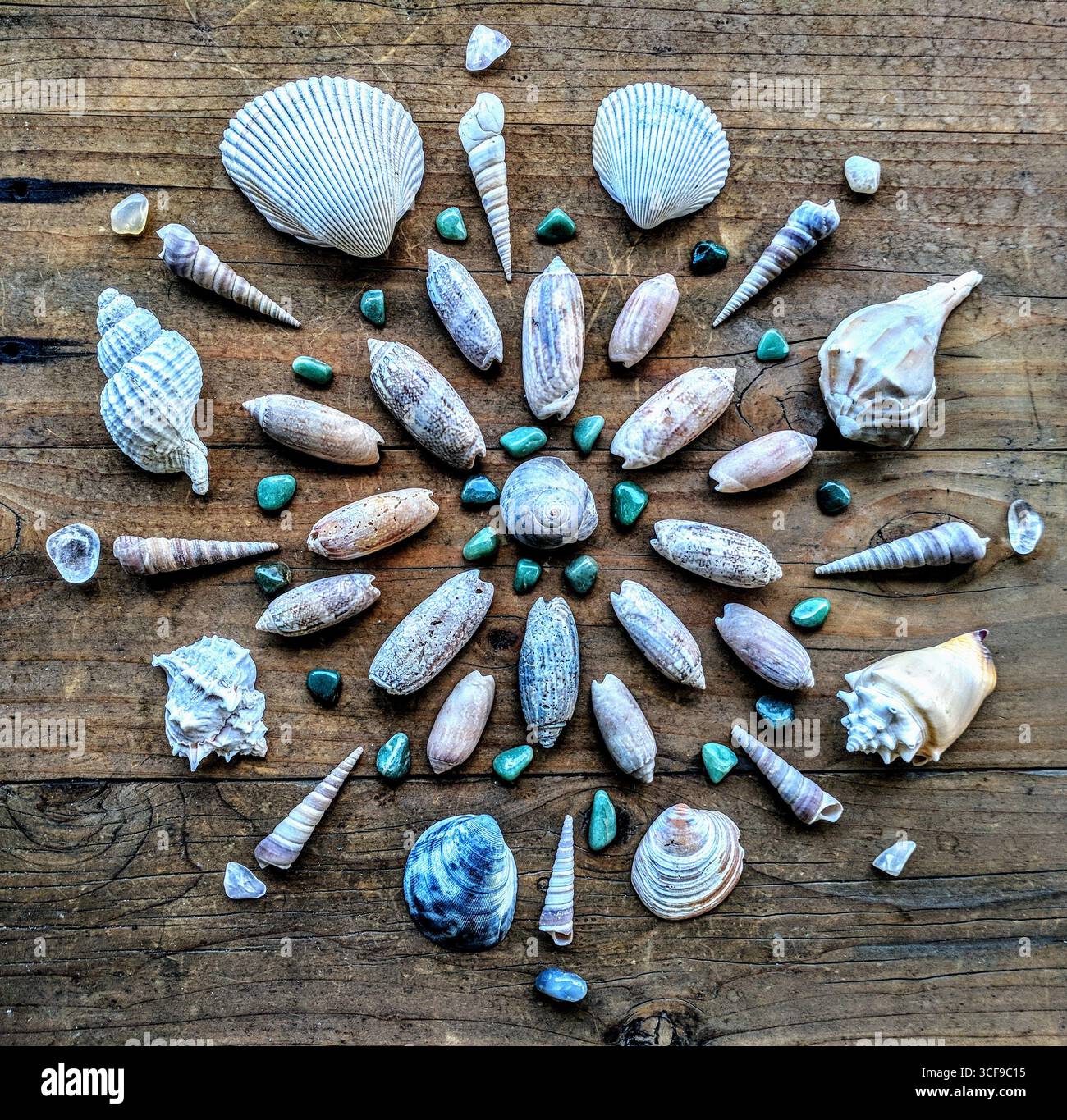 Un mandala concentrico altamente complesso di raccoglitore di spiagge, meticolosamente costruito da bivalvi bianchi ordinati, spirali e schegge turchesi Foto Stock