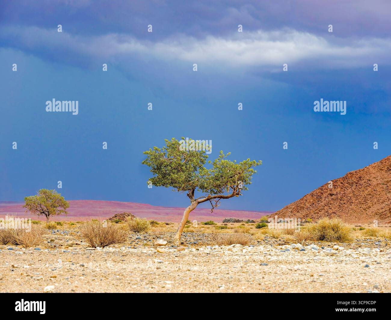 Paesaggio al Sesriem Canyon, una gola profonda fino a 30 metri vicino alle dune di Sossusvlei. Sesriem Canyon si trova nel Namib-Naukluft National, in Namibia Foto Stock