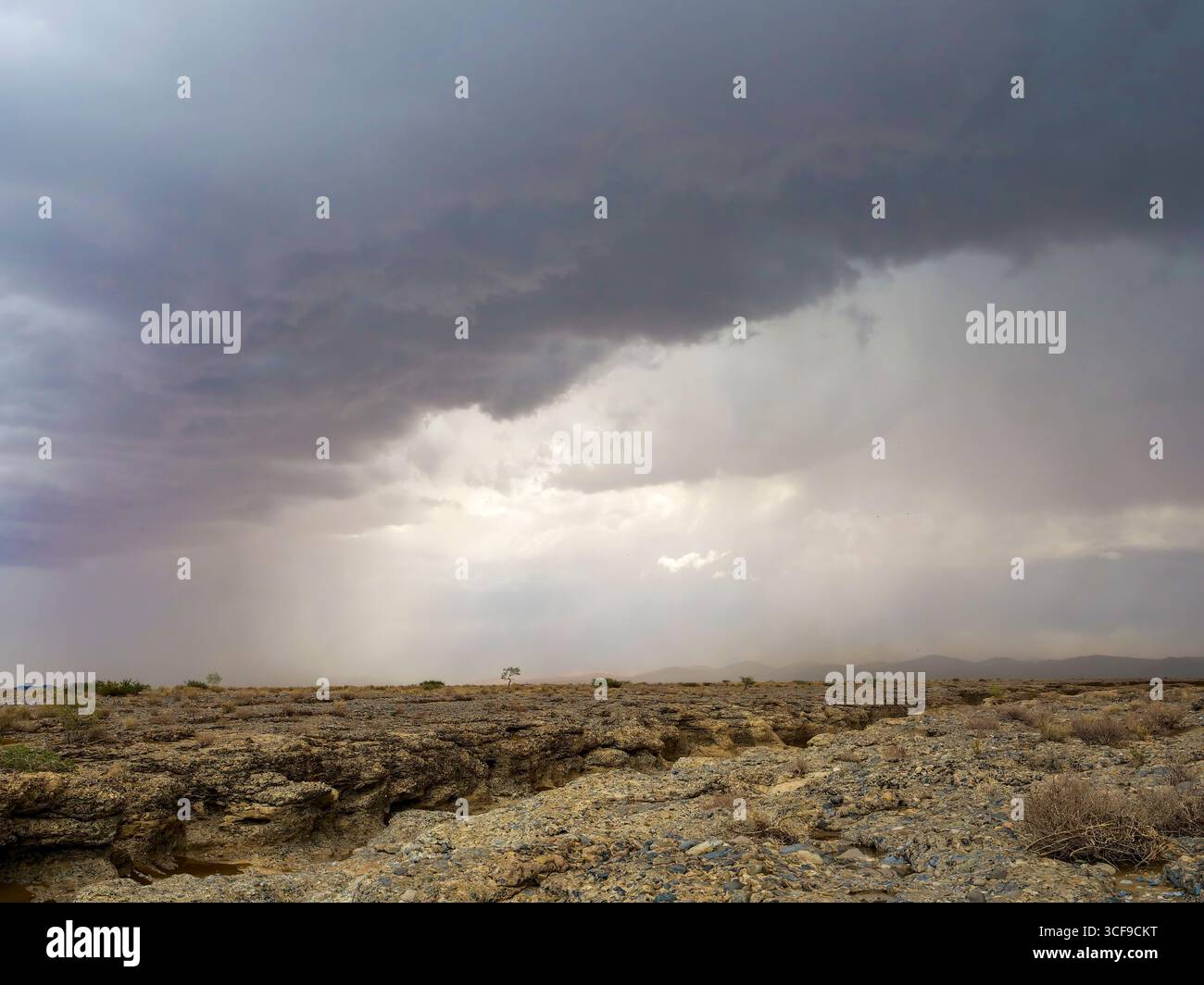 Paesaggio al Sesriem Canyon, una gola profonda fino a 30 metri vicino alle dune di Sossusvlei. Sesriem Canyon si trova nel Namib-Naukluft National, in Namibia Foto Stock
