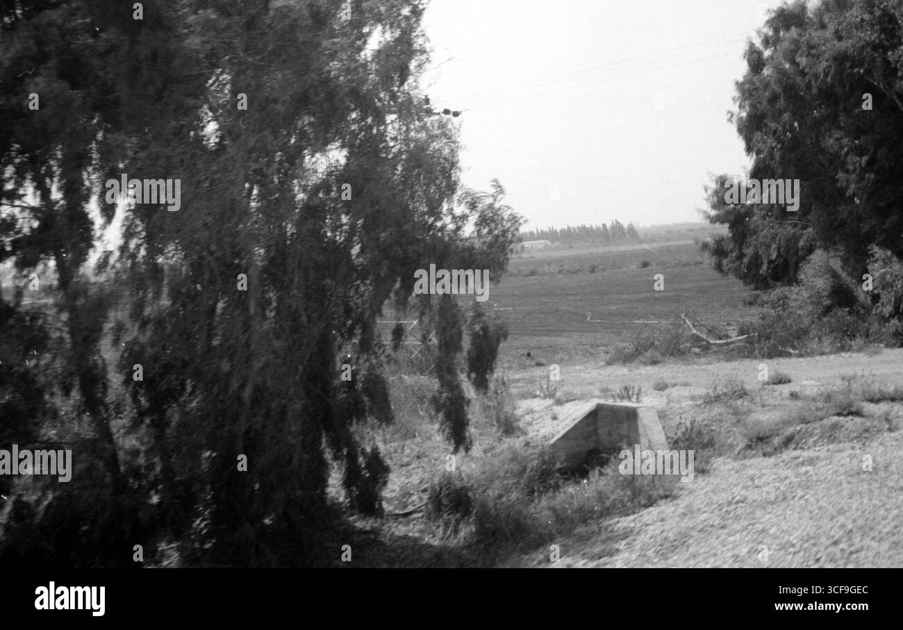 Israele, Tel-Aviv, 1973 Foto Stock