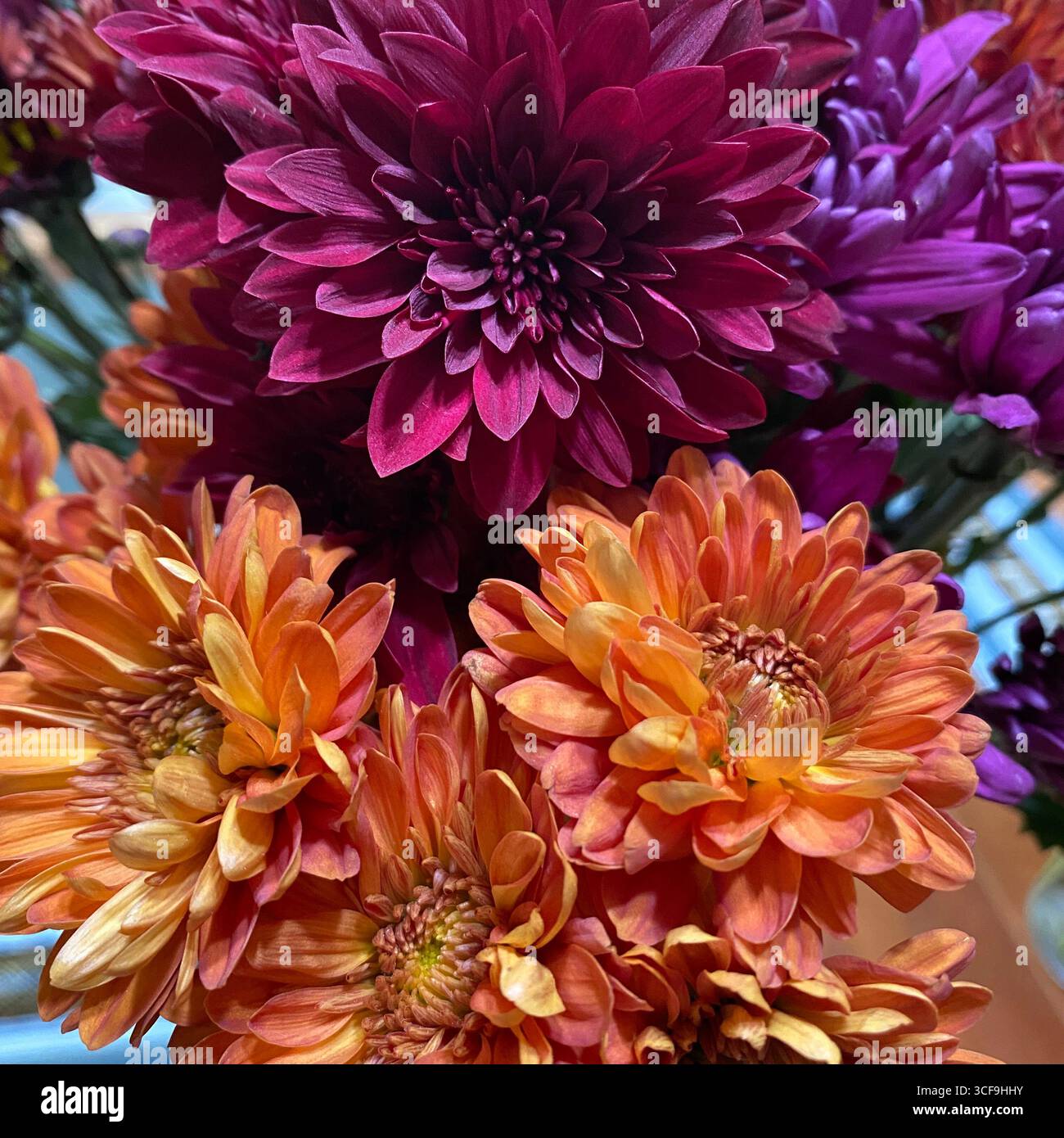 Primo piano di un bouquet di fiori arancioni, gialli e rosa intenso del crisantemo - Immagine stock catturata con smartphone