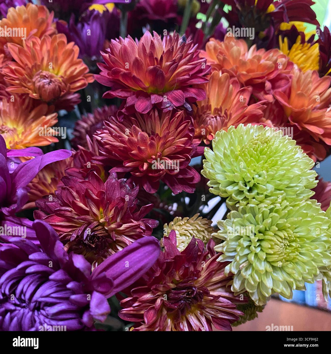 Un bouquet di fiori arancioni e gialli, verde chiaro, viola e color marrone Crisantemo - Immagine stock catturata con smartphone