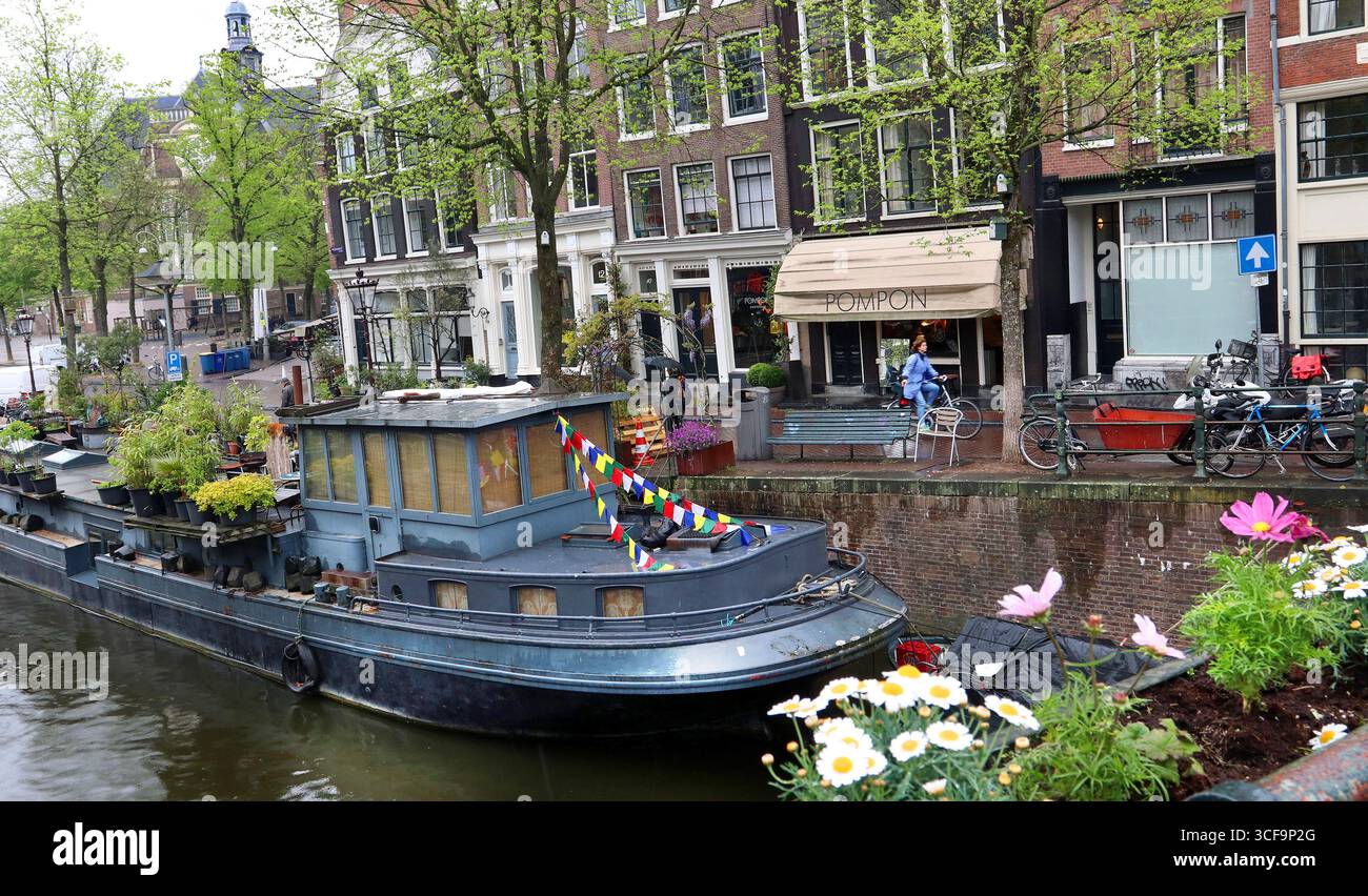Bella chiatta con case galleggianti sul canale con bunting e vasi di fiori. Prinsengracht, quartiere dei canali di Grachtengordel, Amsterdam, aprile, Europa settentrionale Foto Stock