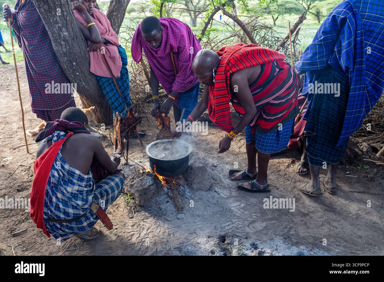 Uomini Maasai che cucinano nel villaggio, Tanzania Foto Stock