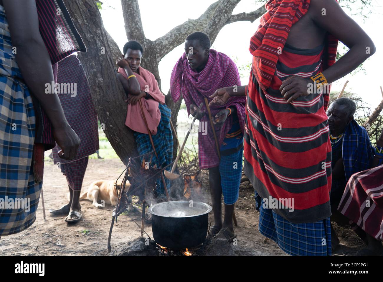 Uomini Maasai che cucinano nel villaggio, Tanzania Foto Stock