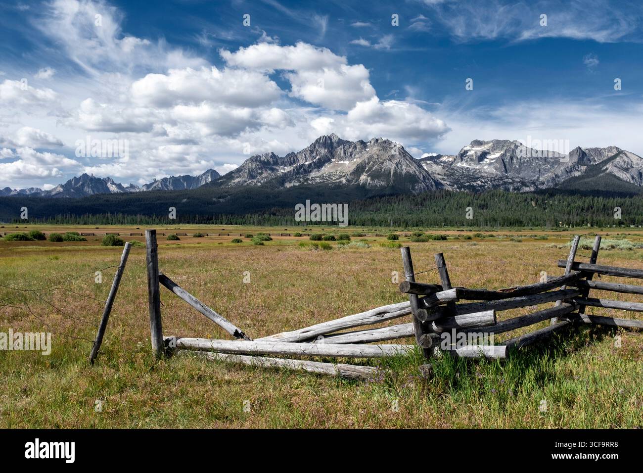 ID01189-00...IDAHO - la catena dei denti di Sawtooth vista dall'autostrada 21 a nord di Stanley. Foto Stock