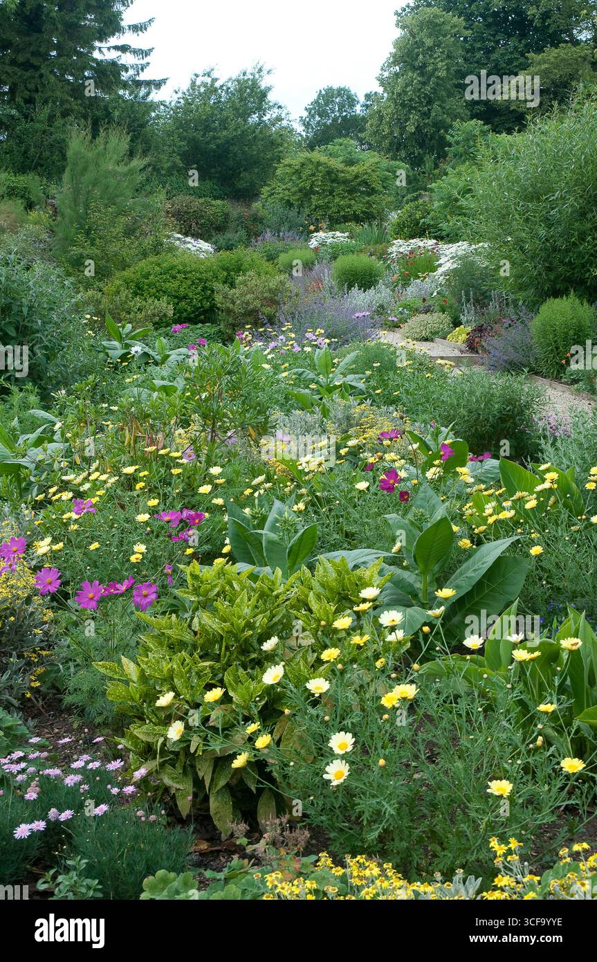 Fiori selvatici colorati fioriscono abbondantemente in un lussureggiante giardino, che mostra la bellezza della natura durante la stagione estiva. Foto Stock