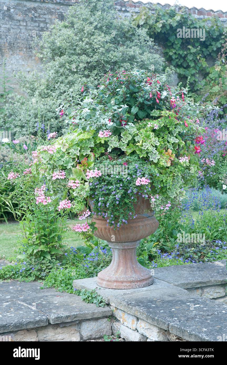 Una vivace esposizione di fiori in fiore in un vaso si distingue in un tranquillo giardino, circondato da vegetazione verde e piante colorate. Foto Stock