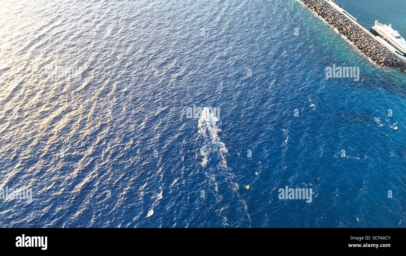 Ballerini delle profondità: La vita marina scivola con grazia attraverso le onde azzurre al tramonto lungo una costa tranquilla Foto Stock