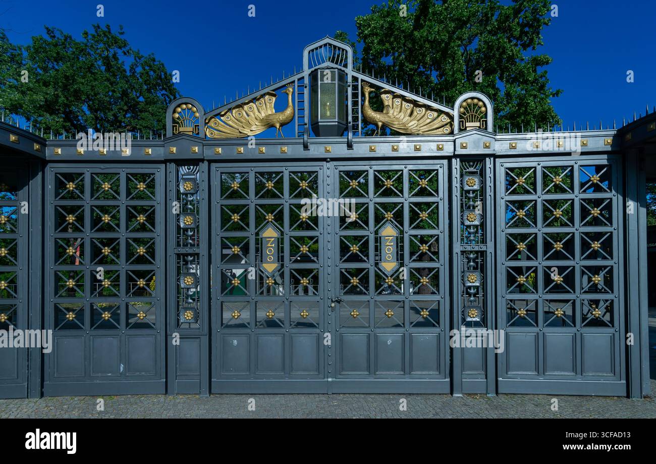 Storico cancello Art Nouveau con motivi pavone dorati all'uscita posteriore dello Zoo di Berlino, design architettonico dettagliato. Foto Stock