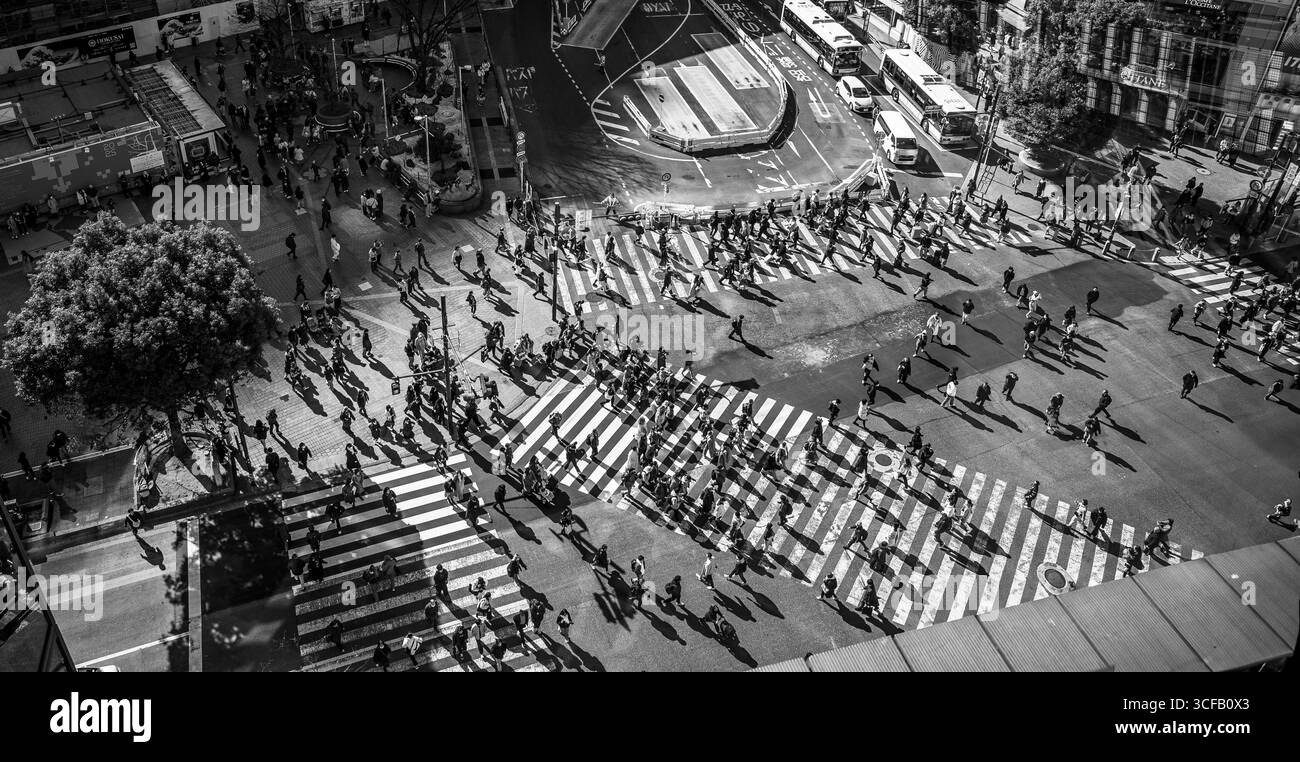 Incrocio di Shibuya, Tokyo, Giappone Foto Stock