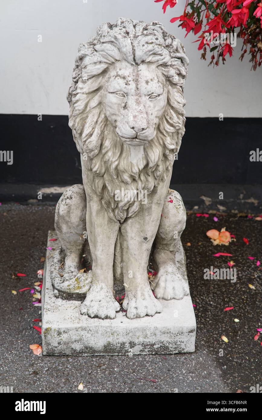 Statua del Leone scolpita in pietra con fiori rossi su base in cemento all'aperto. Redhill, Inghilterra Foto Stock
