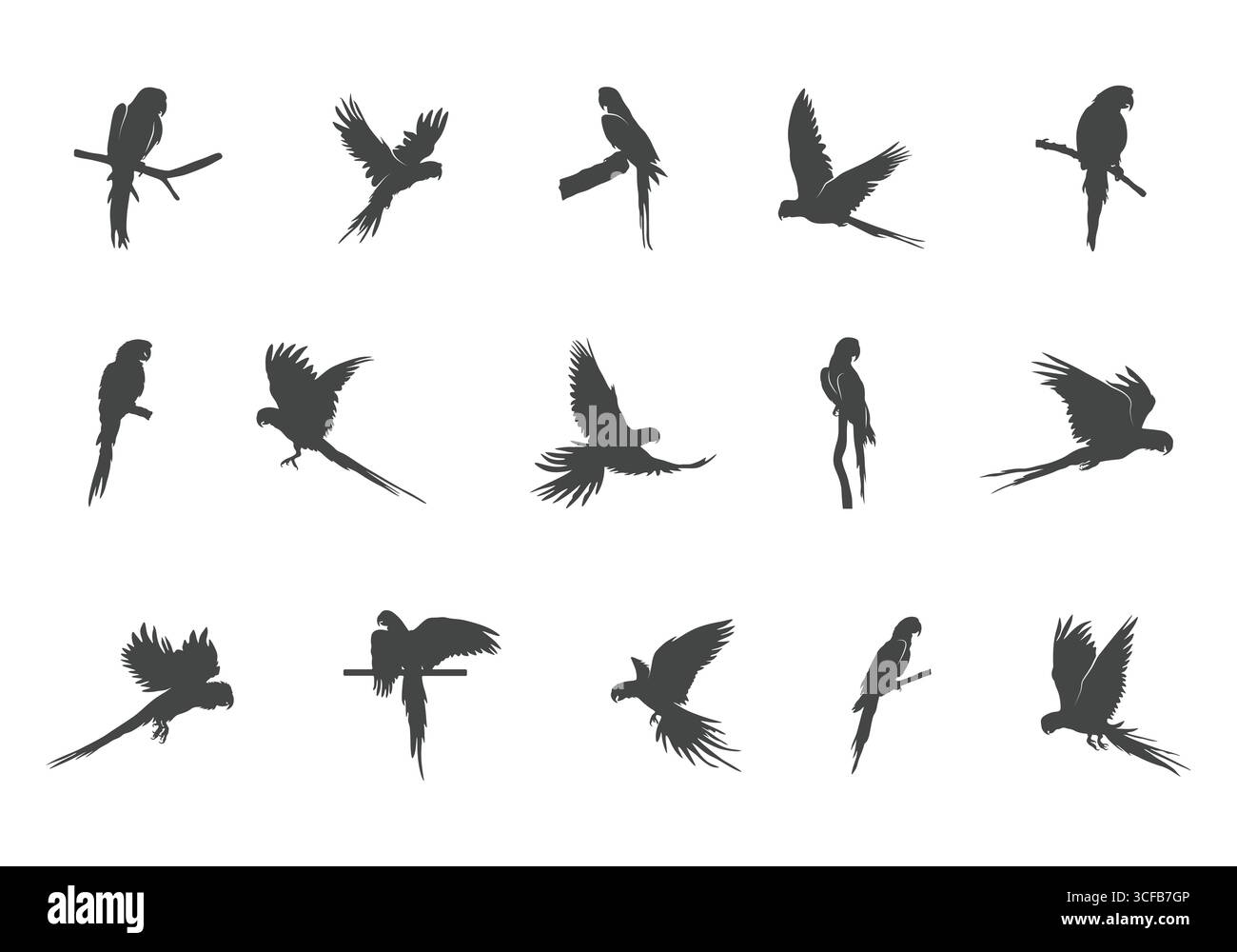 Macaw silhouette, Macaw svg, Macaw Parrot silhouette, Parrot svg, Parrot silhouette, silhouette Flying Macaw, Flying Macaw svg. Illustrazione Vettoriale