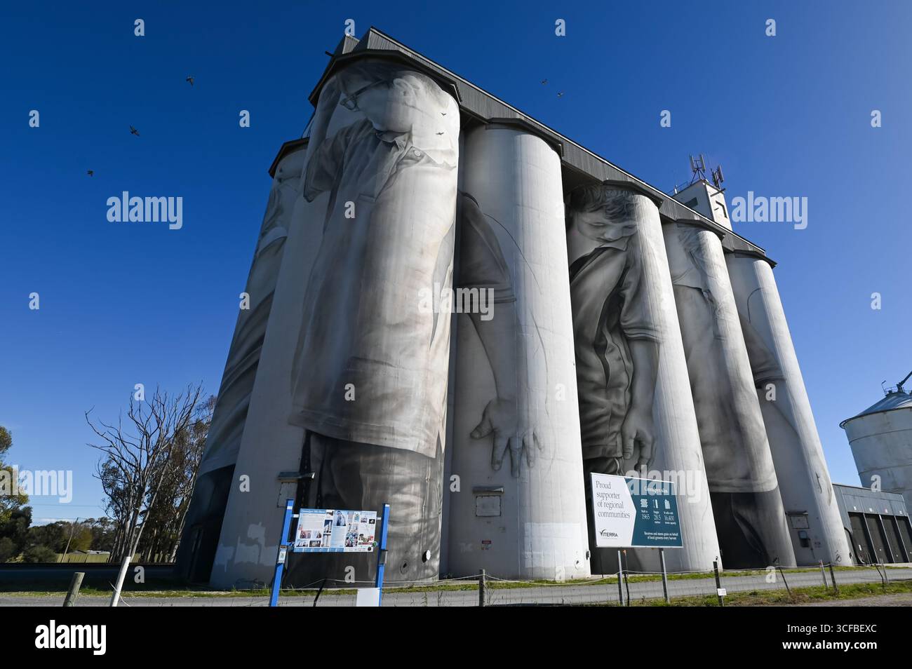 Il primo murale del silo dell'Australia meridionale creato come parte del piano di rinnovamento regionale di Coonalpyn. Foto Stock