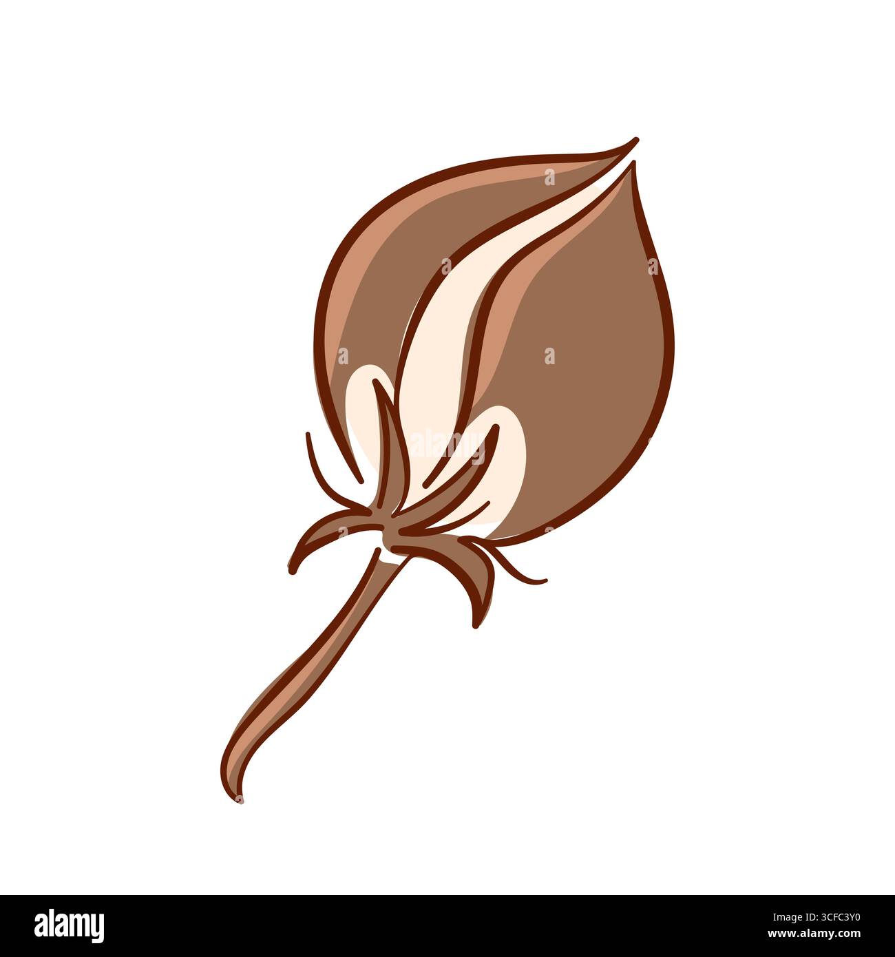 Illustrazione a baccello di semi di cotone autunnale marrone isolato su sfondo bianco in stile piatto. Semplice elemento grafico botanico autunnale per la natura e. Illustrazione Vettoriale