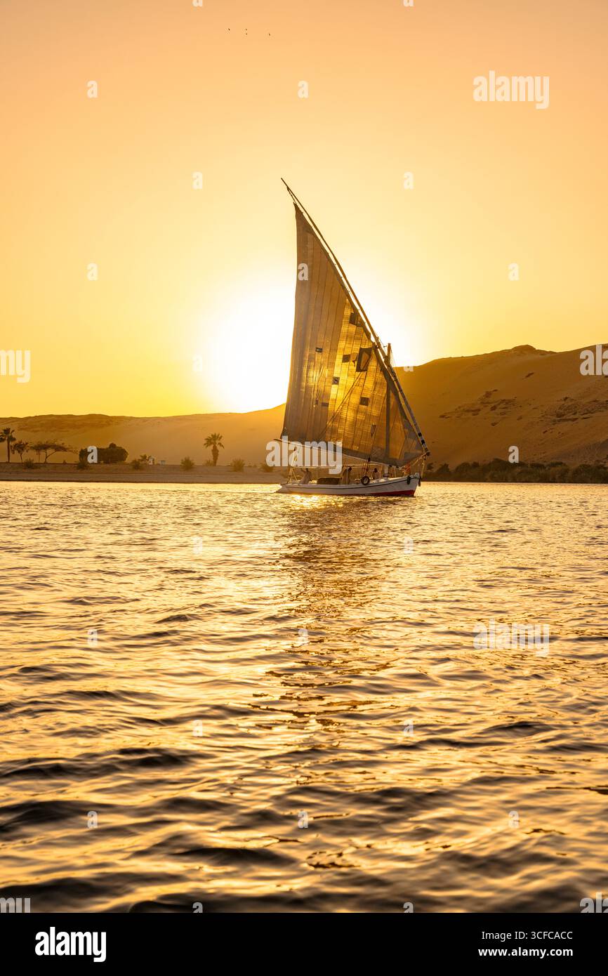 Barca in feluca al tramonto sul Nilo, Egitto Foto Stock