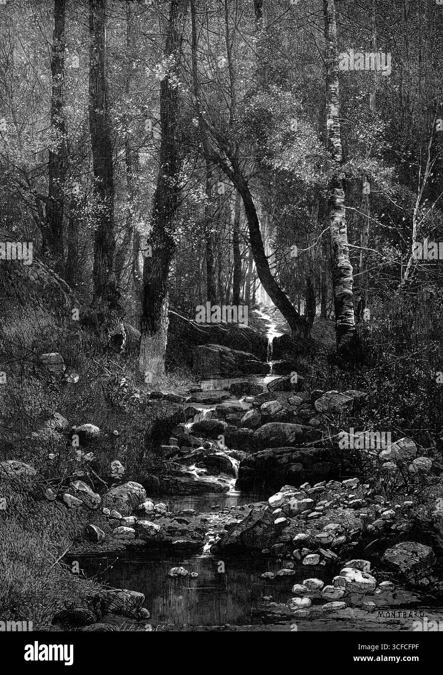 Un posto per un picnic, 1881. "In una calda giornata estiva... questo sarebbe il posto, nel canale roccioso di un ruscello diminuito dalla cessazione della pioggia, per sedersi e gattare il panino o il rotolo di salsicce di idilliaca soddisfazione, con o senza una bottiglia di champagne. La purezza cristallina dell'acqua fluente, in questi bacini naturali di pietra, non richiede aggiunta vinosa o spiritosa alle sue qualità rinfrescanti ed esilaranti; e l'aria dolce brughiera, che passa liberamente attraverso la luce nascosta di questo pezzo di bosco, non sarà migliorata dai fumi di un sigaro...per desistere dal parlare, dal forc Foto Stock