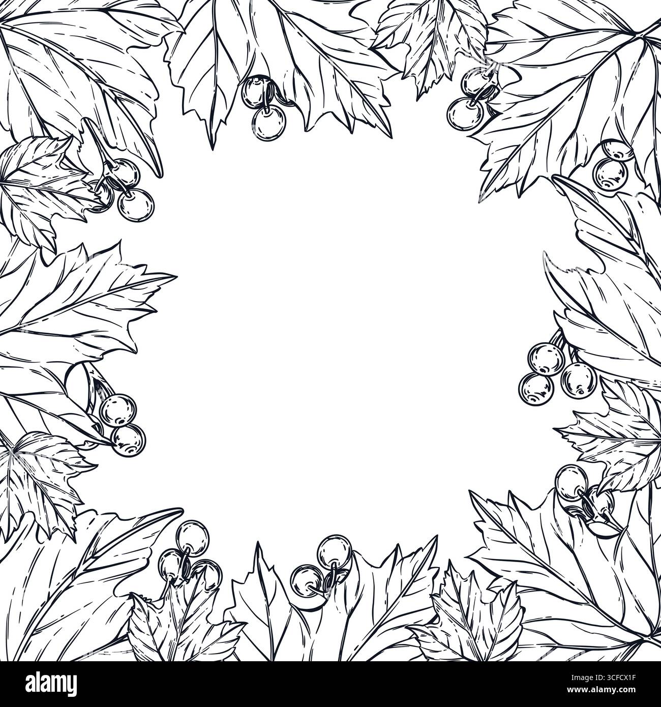 Una cornice quadrata composta da foglie di arbusti viburnum, bacche viburnum. Tutti gli oggetti sono disegnati a mano con inchiostro e convertiti in vettore. L'illustrazione è Illustrazione Vettoriale