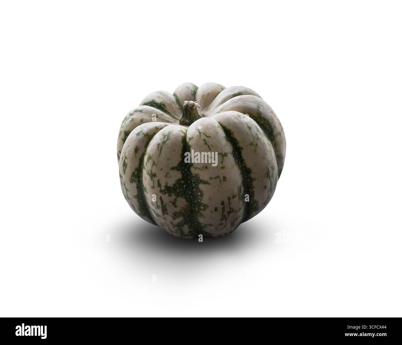 Zucche intere fresche verdi e bianche per un ingrediente da cucina, scena del Ringraziamento o zucche di halloween isolate su sfondo bianco. Foto Stock