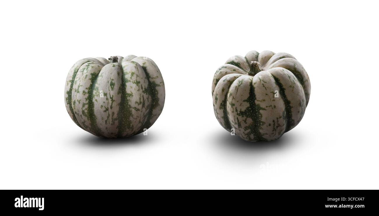 Zucche intere fresche verdi e bianche per un ingrediente da cucina, scena del Ringraziamento o zucche di halloween isolate su sfondo bianco. Foto Stock