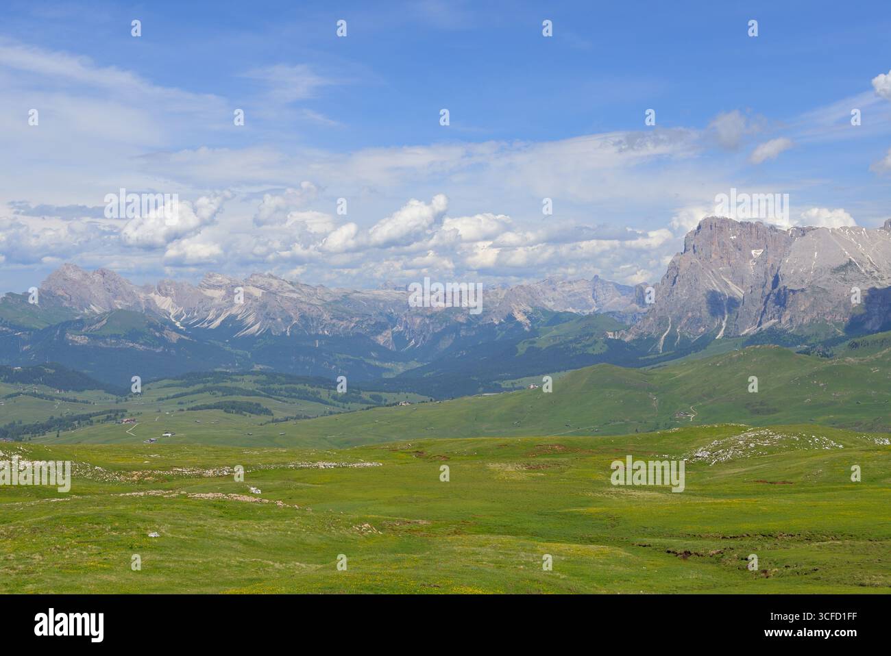 Prati verdi e lussureggianti dell'Alpe di Siusi con catene montuose sullo sfondo. Foto Stock