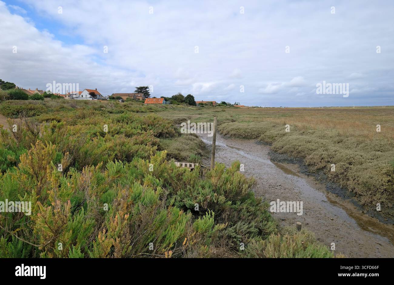 paludi salate di burnham deepdale, norfolk settentrionale, inghilterra Foto Stock
