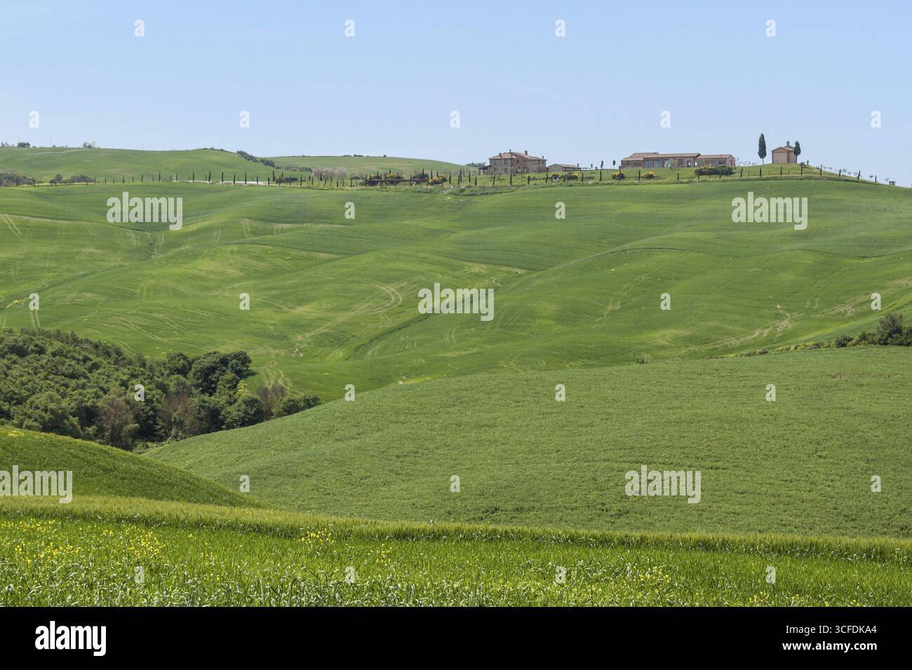 Verdi colline con edifici sparsi sotto un cielo azzurro, natura tranquilla e vasta, Toscana, Italia Foto Stock