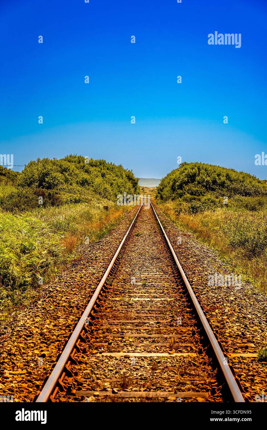 Binari ferroviari che conducono all'orizzonte attraverso la campagna verde in un chiaro giorno d'estate con Bright Blue Sky Foto Stock