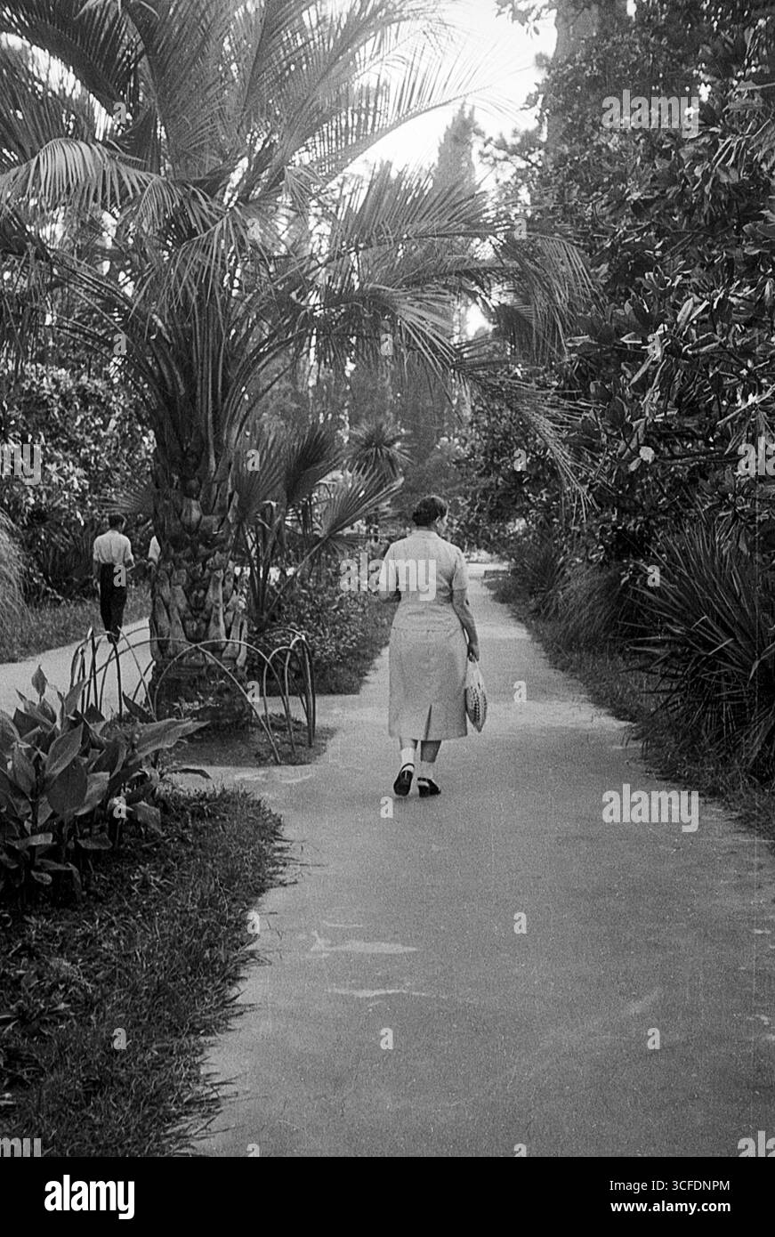 Sochi, URSS - 1 settembre 1957: Donna che cammina lungo un vicolo nel parco Arboretum Foto Stock